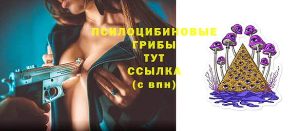 крисы Абдулино