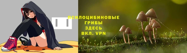 крисы Абдулино