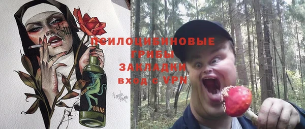 крисы Абдулино
