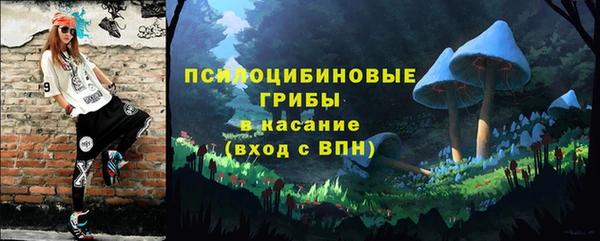 крисы Абдулино