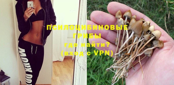 крисы Абдулино