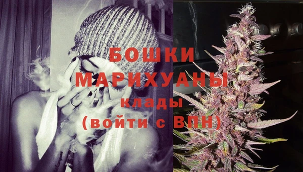 винт Осинники