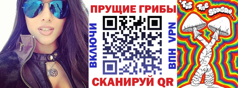 ссылка на мегу tor Усолье Псилоцибиновые грибы GOLDEN TEACHER