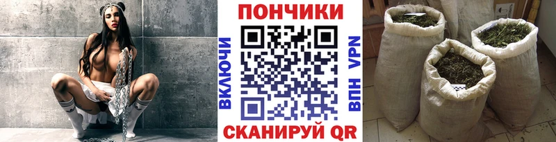 Шишки марихуана конопля  купить  сайты  KRAKEN сайт  Усолье 
